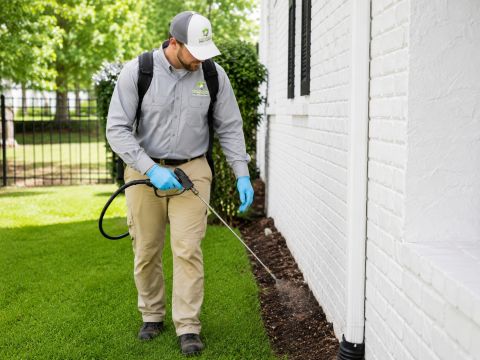 Image depicting the Service Pest Control