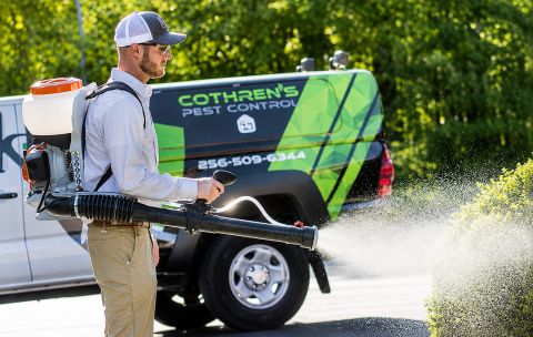 Image depicting the Service Mosquito Control 